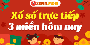 Kết Quả Xổ Số Miền Bắc Hôm Nay: Nhanh và Chính Xác